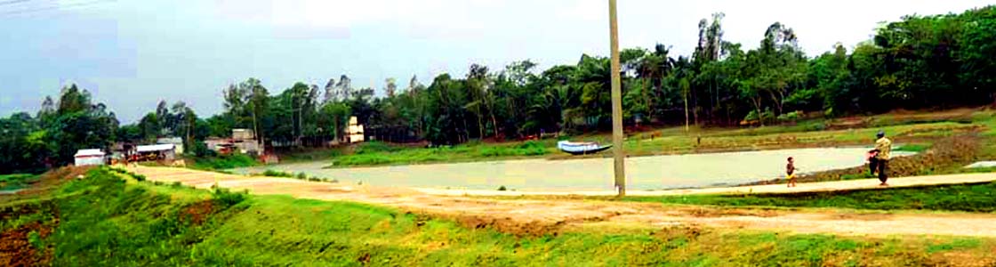 Slide Image
